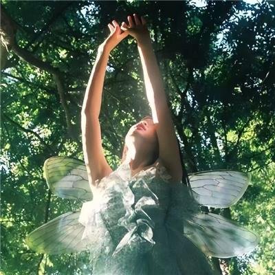 染霜何妨登岳岱